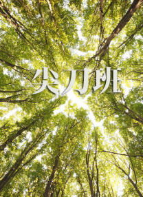 尝试偷欢的秘密
